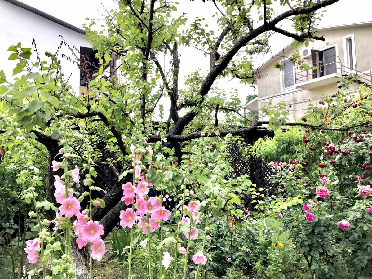 Akvitaniya Mini-Hotel Zatoka Dış mekan fotoğraf