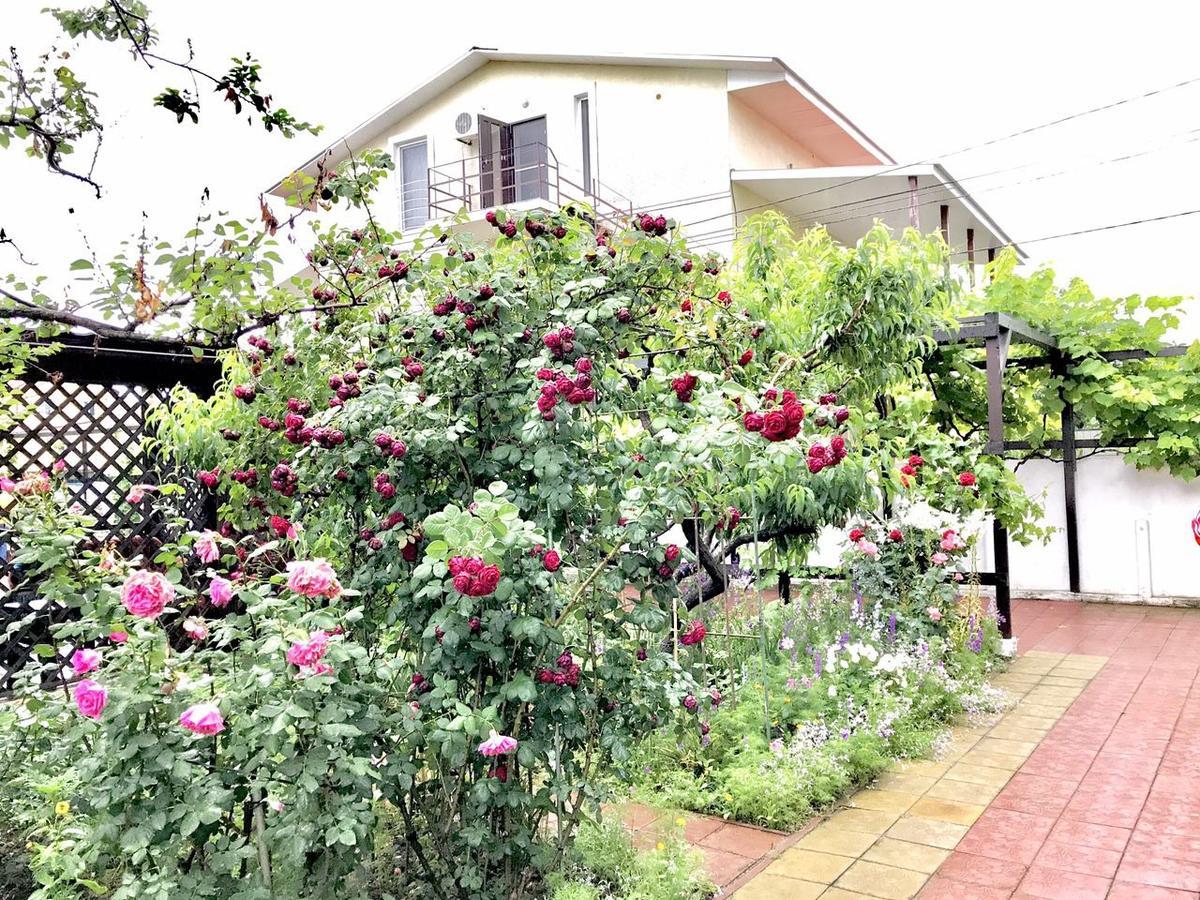 Akvitaniya Mini-Hotel Zatoka Dış mekan fotoğraf